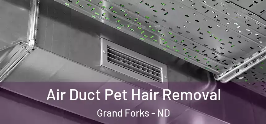  Air Duct Pet Hair Removal Grand Forks - ND
