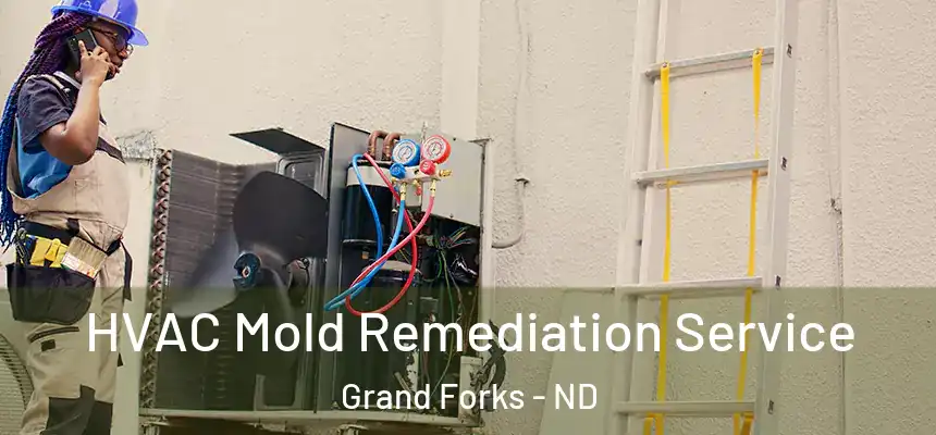  HVAC Mold Remediation Service Grand Forks - ND