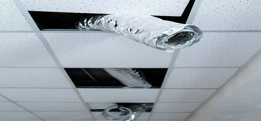 Affordable HVAC Sanitizing After Pest Removal in Grand Forks