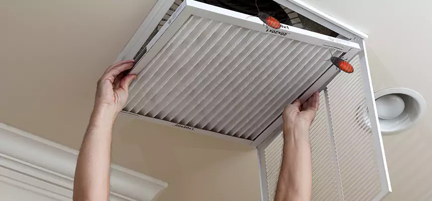 Our Insect Removal from Air Ducts Services in Grand Forks, ND