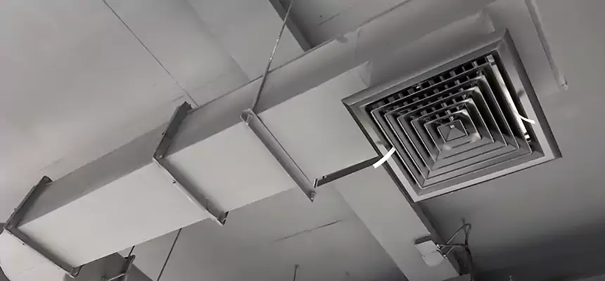 Our Pest Removal From Ducts Services in Grand Forks, ND