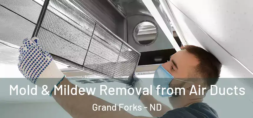  Mold & Mildew Removal from Air Ducts Grand Forks - ND