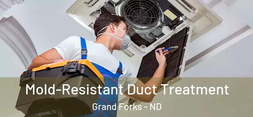  Mold-Resistant Duct Treatment Grand Forks - ND