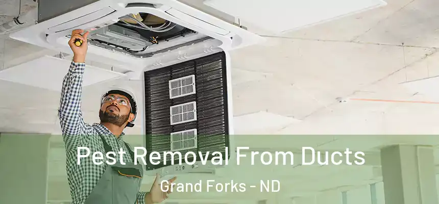  Pest Removal From Ducts Grand Forks - ND