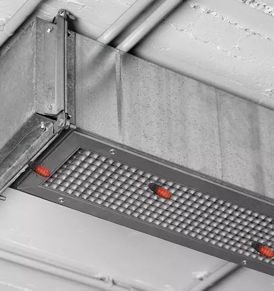 About Air Duct Cockroach Removal in Grand Forks, ND