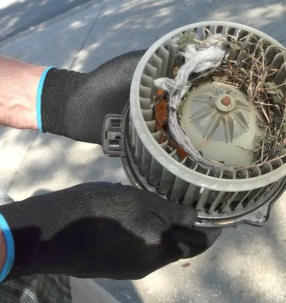 About Air Duct Rat Removal in Grand Forks, ND