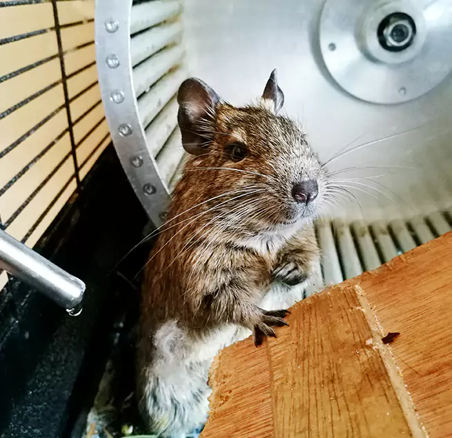 Why Homeowners & Businesses Trust Us Grand Forks, ND